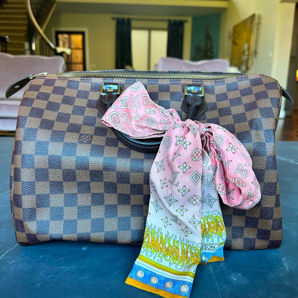 Louis Vuitton Monogram Speedy Bag